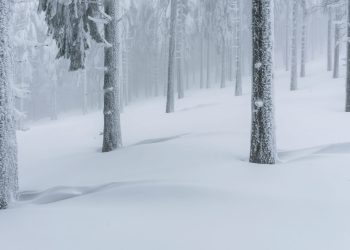 Galaxy Digital CEO: Bitcoin Dips Should Be Bought Despite BitMEX News