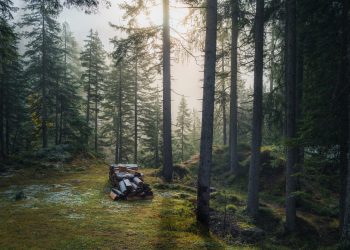 Analyst Who Predicted Bitcoin’s Reversal to $10k Thinks $16k Is Next