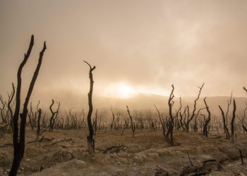 “Exchange FUD” Narrative That Haunted Bitcoin May Finally Be Dead: Analyst