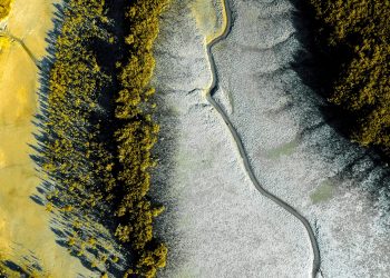 Bitcoin’s Ongoing Surge is Its “Most Important Breakout” Ever: Analyst