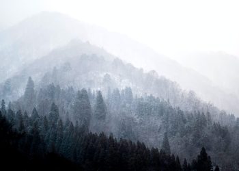 Bitcoin Expected to Rocket Higher as “Strong Close” takes Place Above $13k