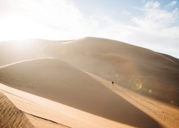 Bitcoin On-Chain Fundamentals Are Still Decisively in “Bullish Mode”