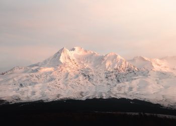 Ethereum’s On-Chain Metrics Continue to Plunge Despite 20% Bounce