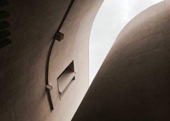 Bitfinex Whales That Marked the August Highs Suggest Bitcoin to Top