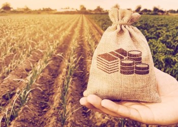 Defi Yield Farming