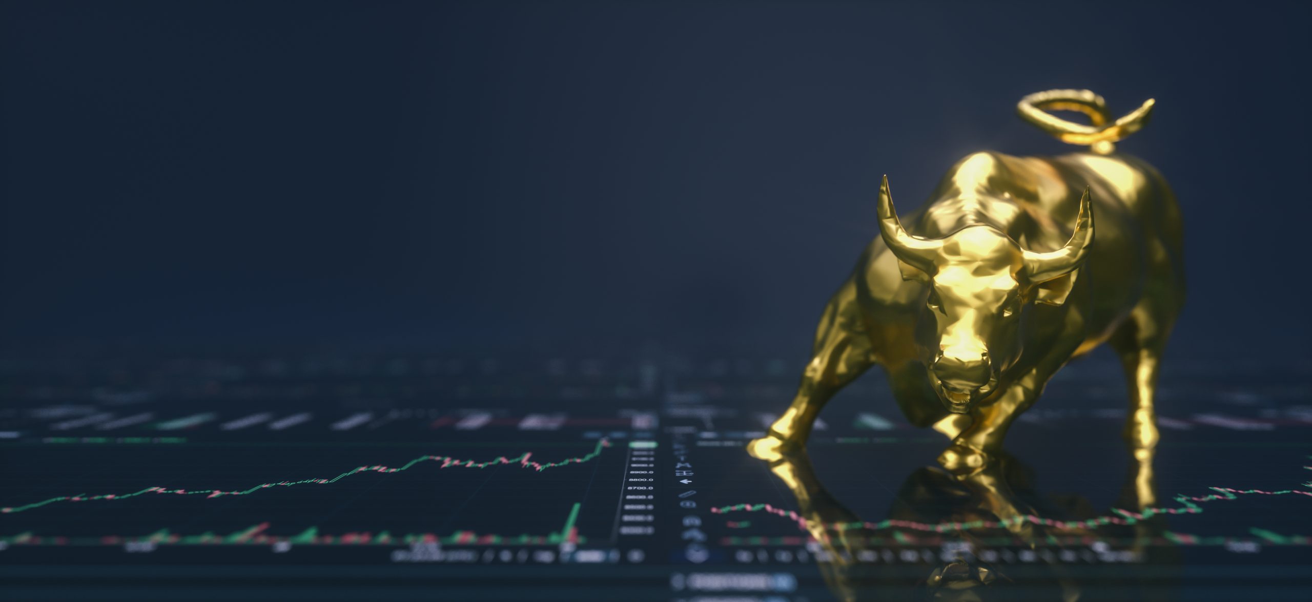 bitcoin bull market correction