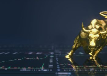 bitcoin bull market correction