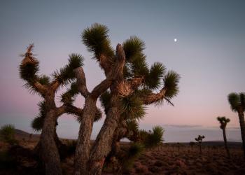 Analysts Expect Explosion Past $500 as Ethereum Nears Crucial Resistance