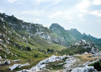 Analysts Fear Ethereum Has Topped After $470 Resistance Is Tapped Twice