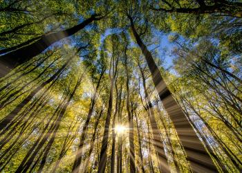 Analysts Eye Bitcoin Move Past $16,000 as Buying Pressure Continues