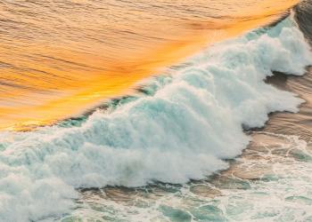 Analysts Expect Move to $20,000 High as Bitcoin Holds Key Supports