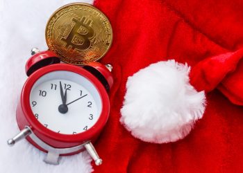 bitcoin 1 btc wallet