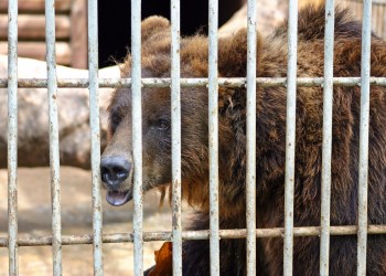 Bitcoin, cryptocurrency, BTCUSD, BTCUSDT