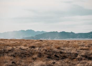 On-Chain Analyst Explains What Caused Bitcoin to Plunge from $38k to $30k