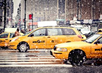 andrew yang bitcoin nyc