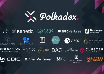 Polkadex, the Polkadot-based DEX built for Web3 and DeFi, has raised $3 million
