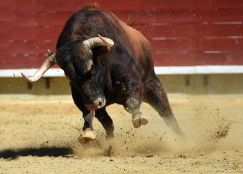 Bitcoin Analyst Sees “Aggressive” Bull Run Towards $64,000; Here’s Why