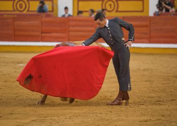 bitcoin bulls fractal