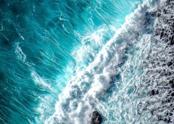 Breaking Down OpenSea’s $23 Million Raise in NFT Boom