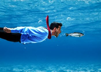 shark tank investor bitcoin ethereum kevin oleary