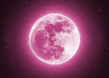 bitcoin scorpio pink full moon full-moon-2055469_1280
