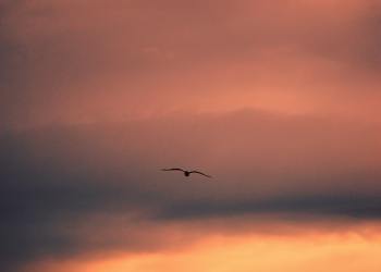 Ethereum Hits $2K For the First Time Since February; Breakout Ahead?