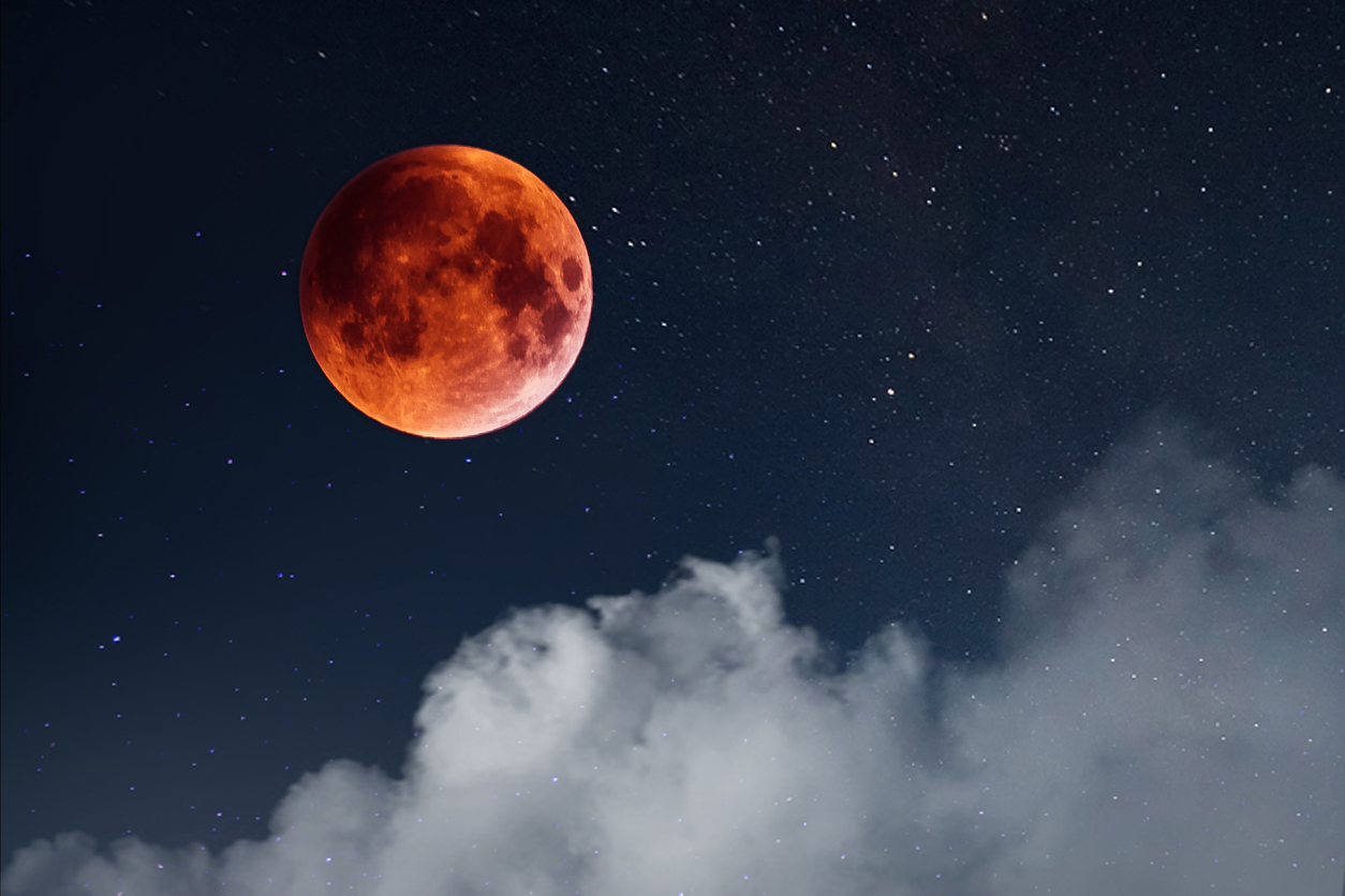 bitcoin super flower blood moon total lunar eclipse
