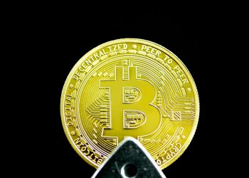 Cathie Wood’s Ark Invest Buys the Bitcoin Dip, Adds $20 Million in GBTC