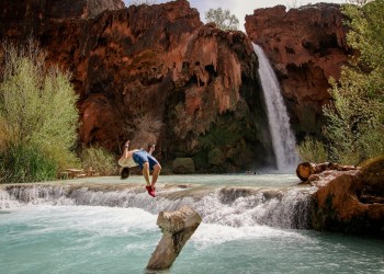 The Flippening in nature