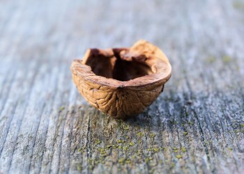 NFTs In A Nutshell: A Weekly Review