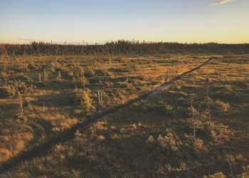 Real Estate, a plot of land