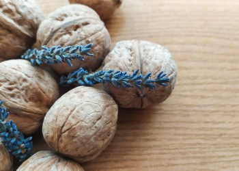 NFTs In A Nutshell: A Weekly Review