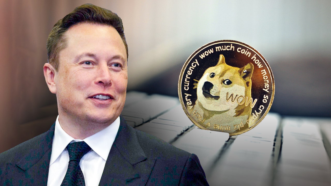 Picture of Musk next to a Dogecoin