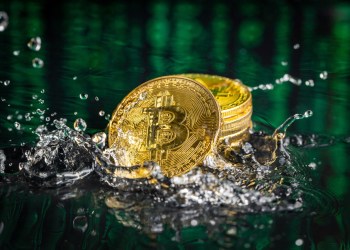 Justin Sun Purchases “Golden Whale Pass” At Bitcoin Miami To Get Lifetime Pass