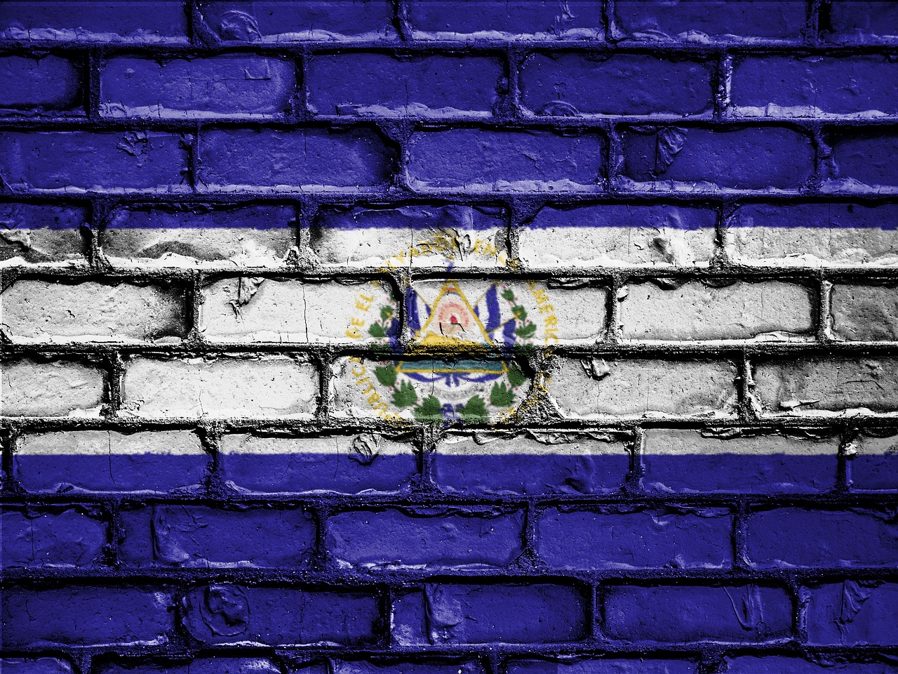 Bukele, El Salvador's flag in a wall