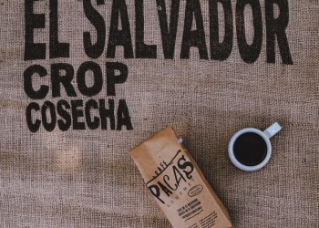 Brock Pierce in El Salvador