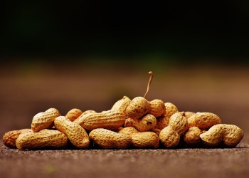 NFTs In A Nutshell: A Weekly Review