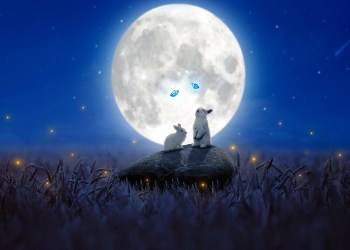 Moon Rabbit: Visualizing Longevity via the Cryptocurrency Ecosystem