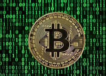 Website Hosting Bitcoin White Paper Cyber-attacked, Hacker Demands 0.5 BTC