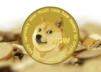 Picture of a dogecoin