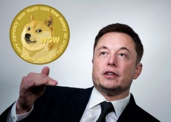Picture of elon musk with a doge coin at the top-left of him