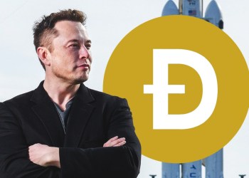 Picture of Elon Musk standing with a dogecoin next to him