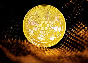 MSN Money Dubs Cardano A Strong YTD Performer