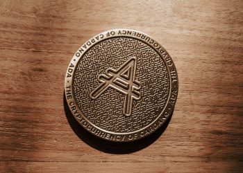 Grayscale Investments Adds Cardano to Flagship Digital Large Cap Fund