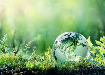 environment