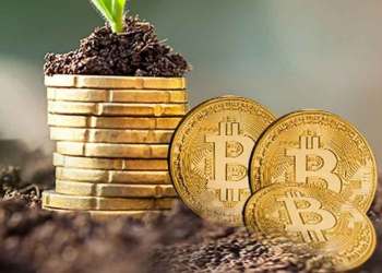 Picture of bitcoins in soil, with a plant growing off it
