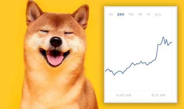 DOGE Is Barking At The Moon As Price Settles Above $0.30, Why The Dogecoin Rally Will Continue | Bitcoinist.com