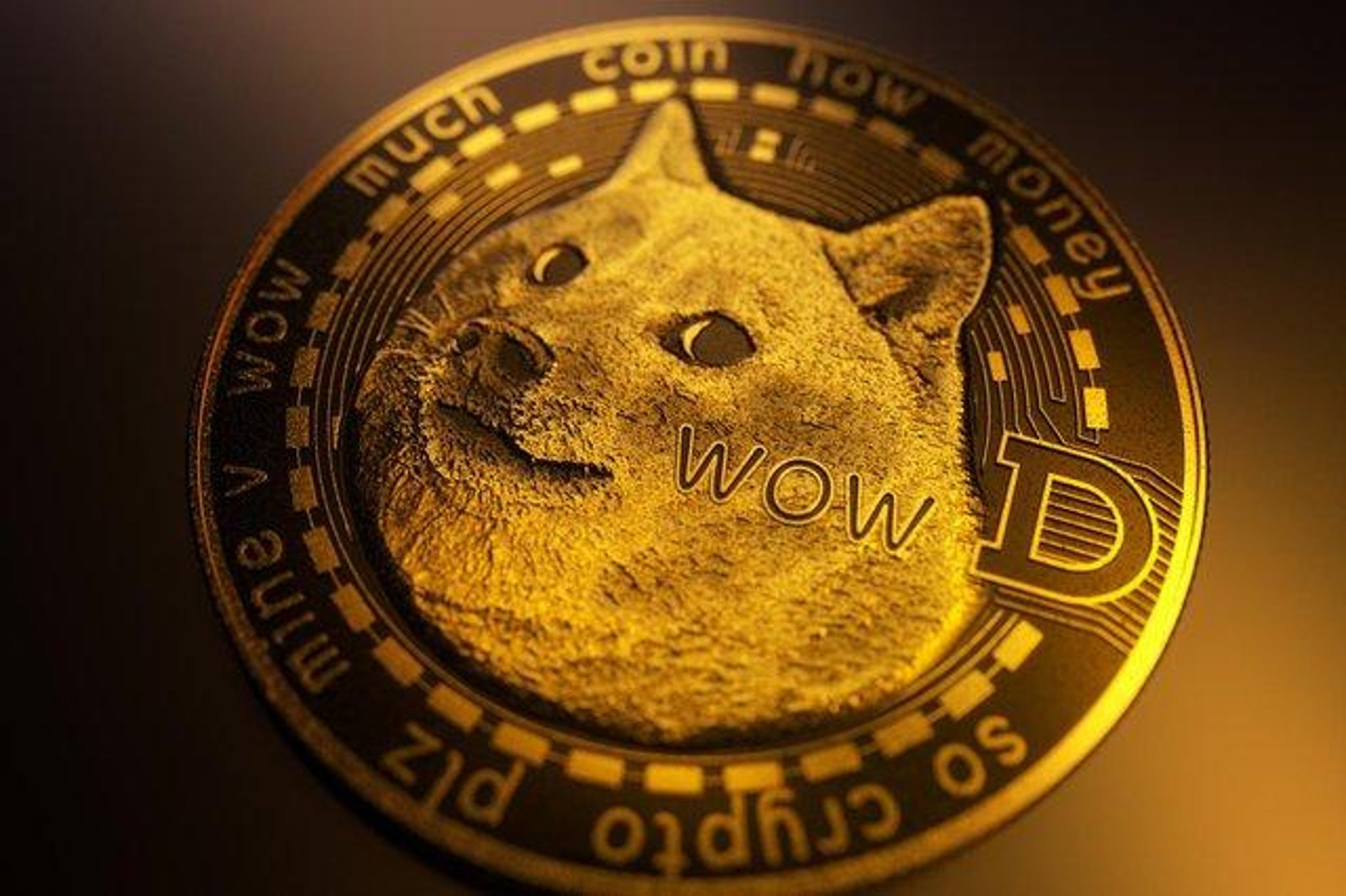 Picture of a Doge coin