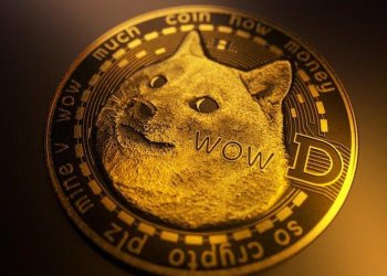 Picture of a Doge coin