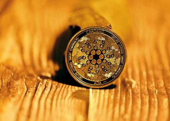 Scamming on Cardano (ADA) Rises As Alonzo Races To Completion